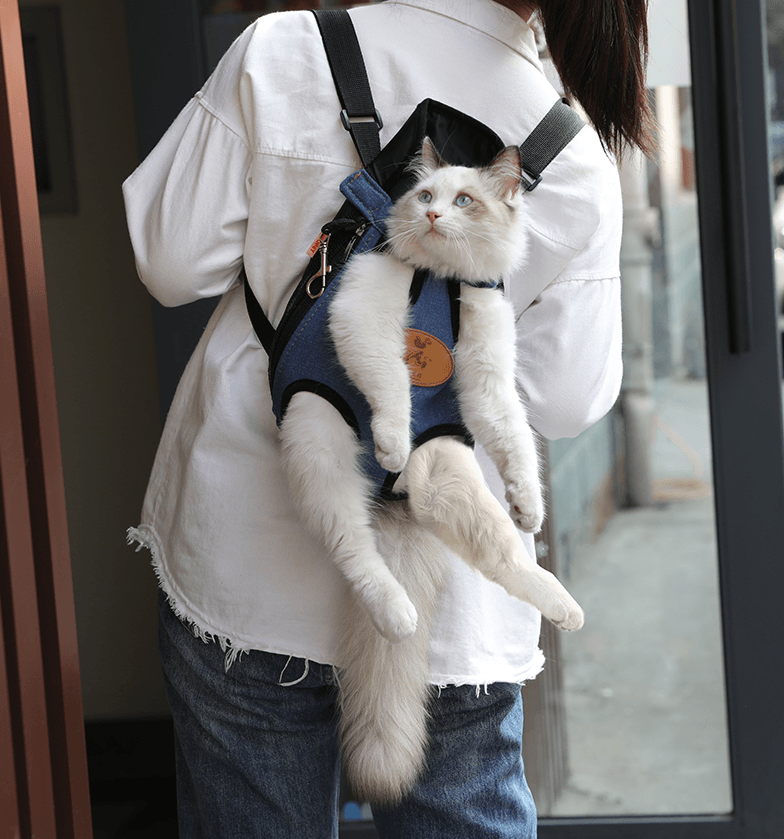 Spring Adventure Cat Carrier