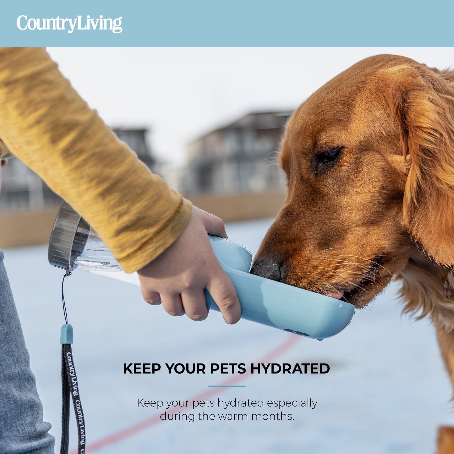 π§ Portable Dog Water Bottle β Leak-Proof, Foldable & Charcoal Filter