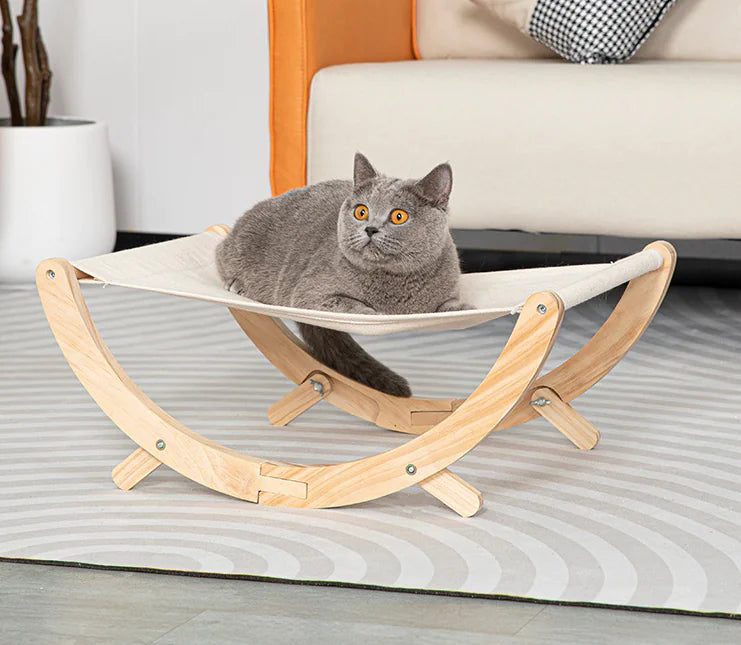 Feline Fun Station: Cat Tree & Scratcher