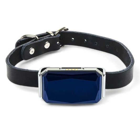 Smart Pet Locator Collar
