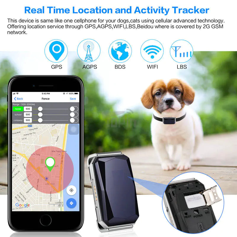 Smart Pet Locator Collar