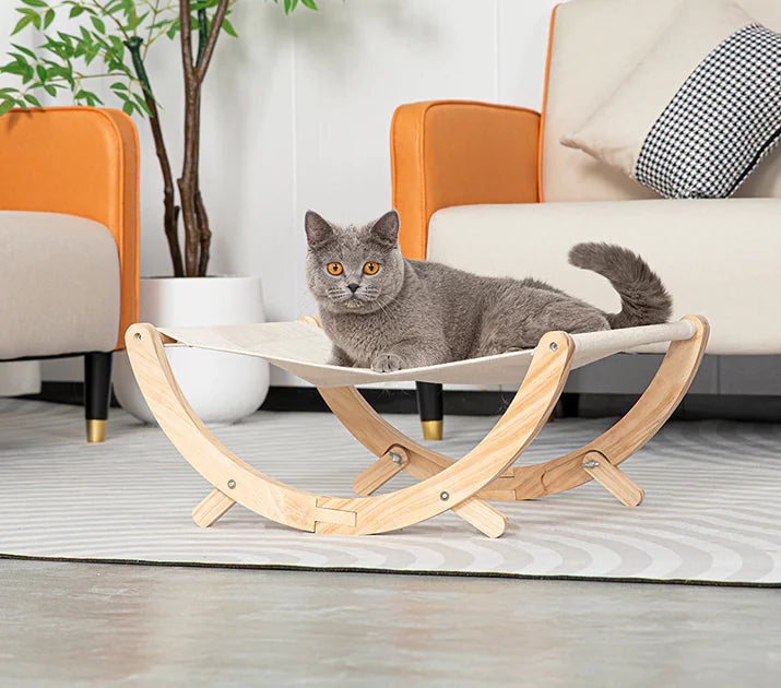 Feline Fun Station: Cat Tree & Scratcher
