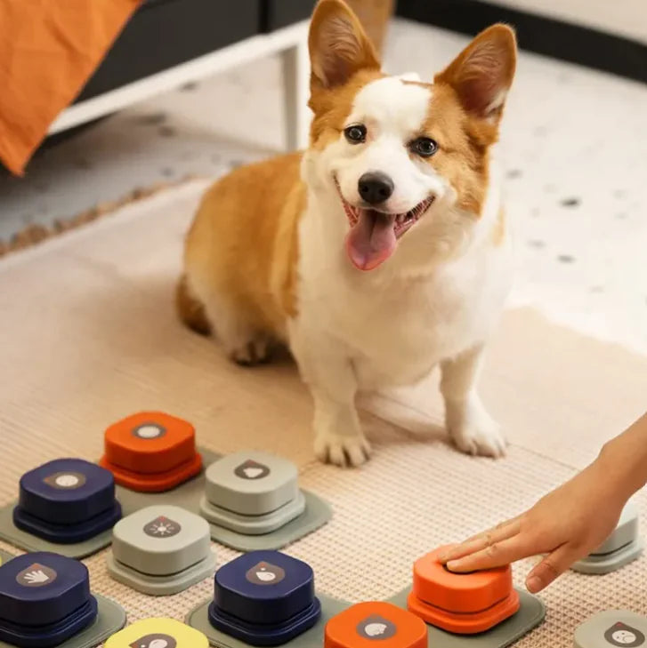 PetChat Button